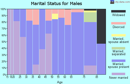 Zip code 25320 marital status for males