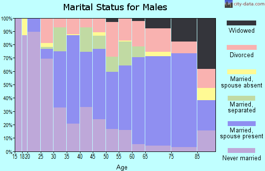 Zip code 25401 marital status for males