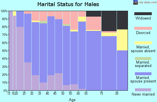 Zip code 25414 marital status for males
