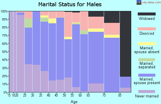 Zip code 25425 marital status for males