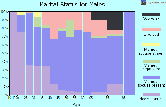 Zip code 25427 marital status for males