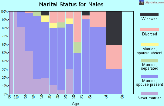 Zip code 25428 marital status for males
