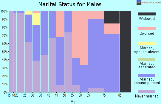 Zip code 25438 marital status for males