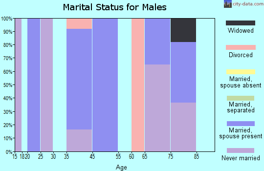 Zip code 25441 marital status for males