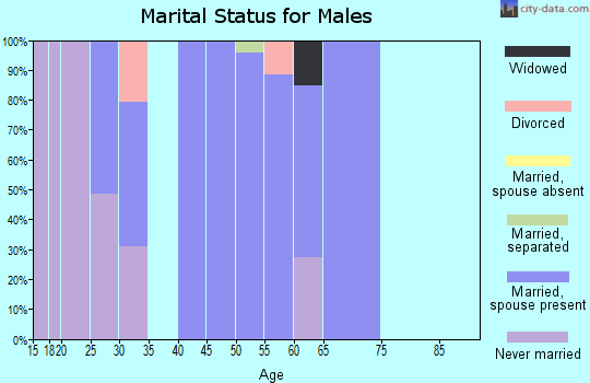 Zip code 25442 marital status for males