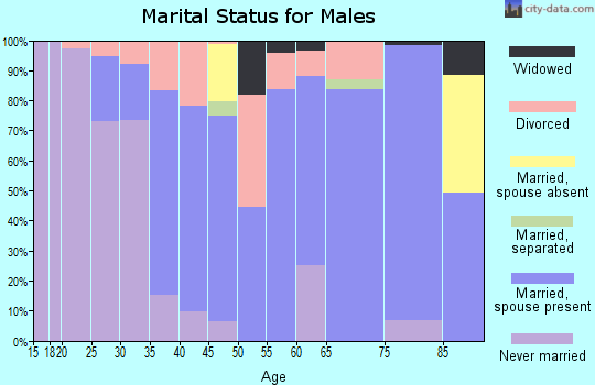 Zip code 25443 marital status for males