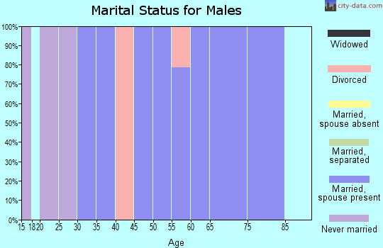 Zip code 25502 marital status for males