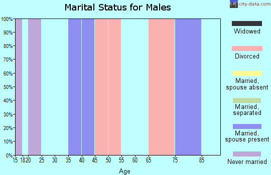 Zip code 25503 marital status for males