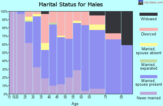 Zip code 25504 marital status for males