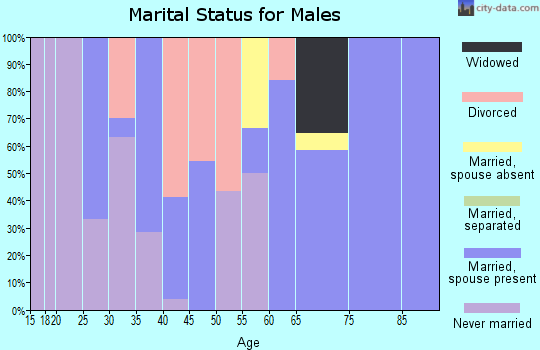 Zip code 25507 marital status for males