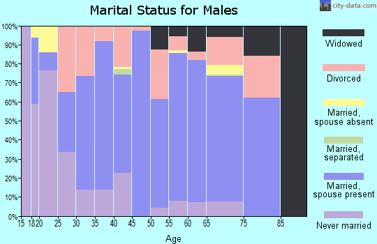 Zip code 25508 marital status for males