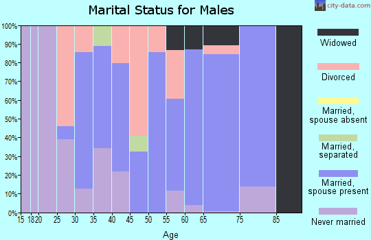Zip code 25510 marital status for males