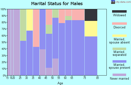 Zip code 25524 marital status for males