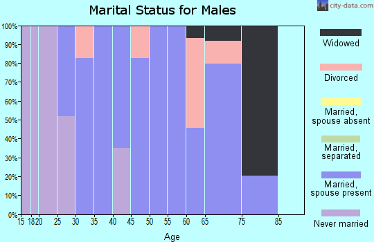 Zip code 25535 marital status for males