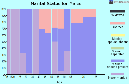 Zip code 25537 marital status for males
