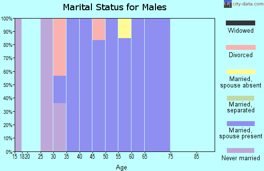 Zip code 25559 marital status for males