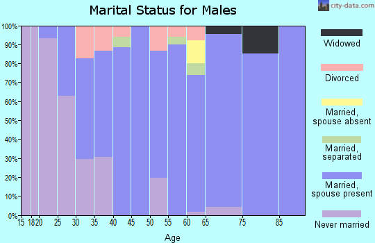 Zip code 25560 marital status for males