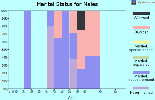 Zip code 25565 marital status for males