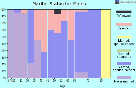 Zip code 25571 marital status for males