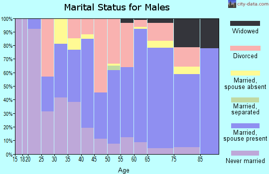 Zip code 25601 marital status for males