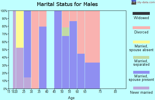 Zip code 25607 marital status for males