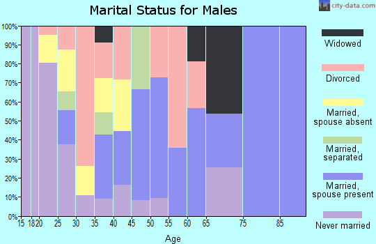 Zip code 25625 marital status for males