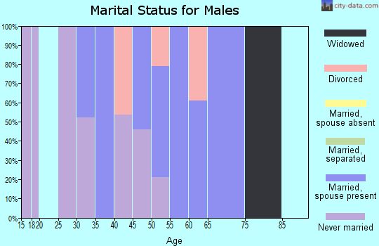 Zip code 25634 marital status for males