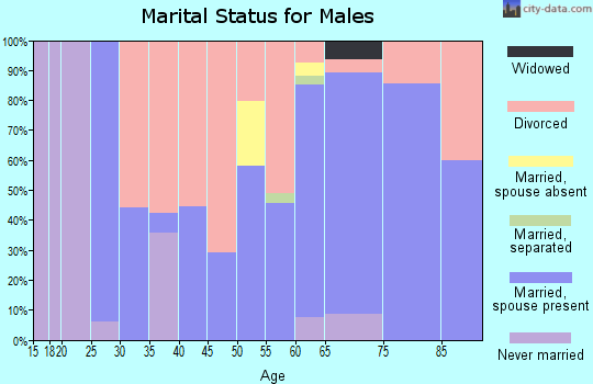 Zip code 25635 marital status for males