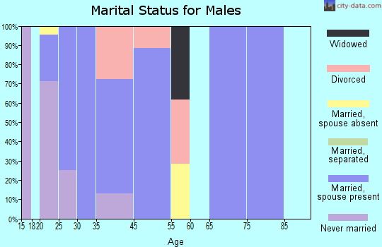 Zip code 25636 marital status for males