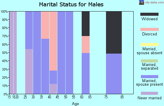 Zip code 25637 marital status for males