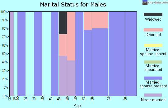 Zip code 25646 marital status for males