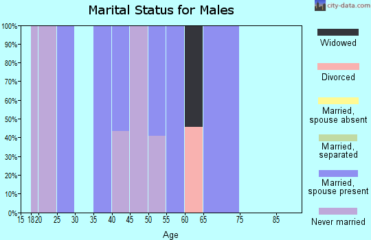 Zip code 25647 marital status for males