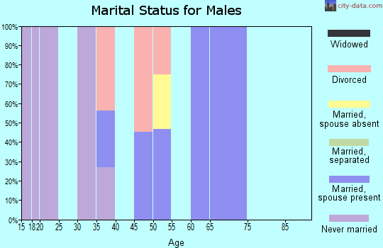 Zip code 25649 marital status for males