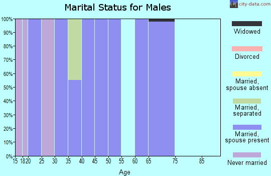 Zip code 25650 marital status for males