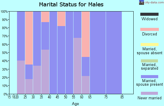 Zip code 25652 marital status for males