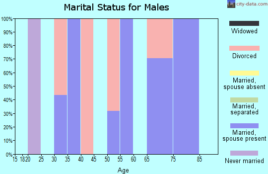 Zip code 25653 marital status for males
