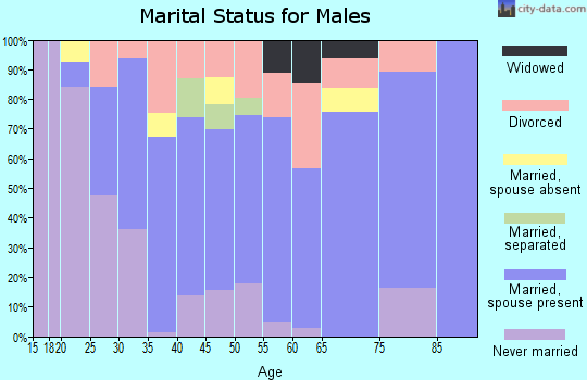 Zip code 25661 marital status for males
