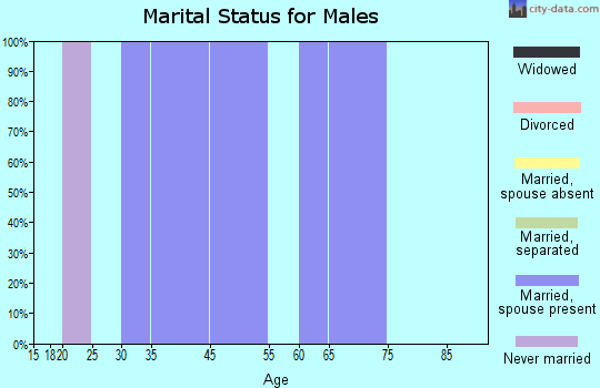 Zip code 25667 marital status for males