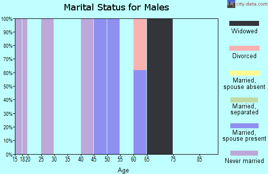 Zip code 25672 marital status for males