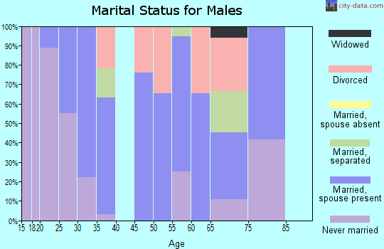 Zip code 25678 marital status for males