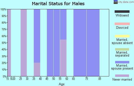Zip code 25688 marital status for males