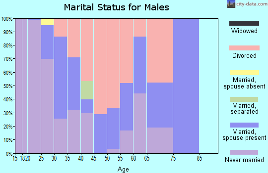 Zip code 25703 marital status for males