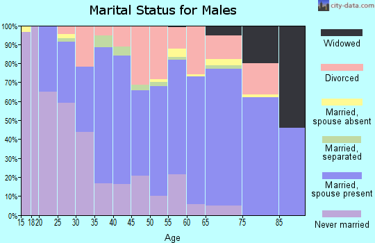 Zip code 25705 marital status for males
