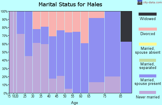 Zip code 25812 marital status for males