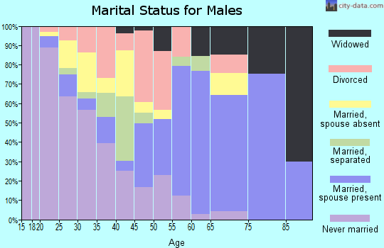 Zip code 25813 marital status for males