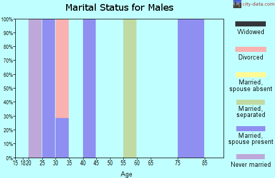 Zip code 25818 marital status for males