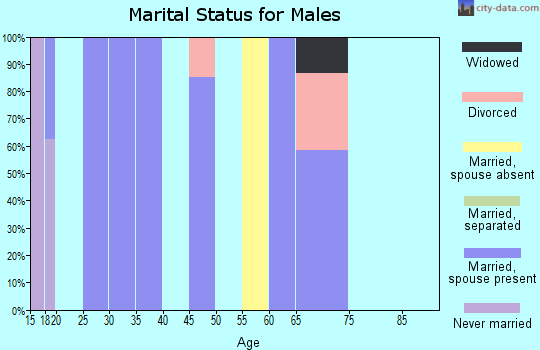 Zip code 25820 marital status for males
