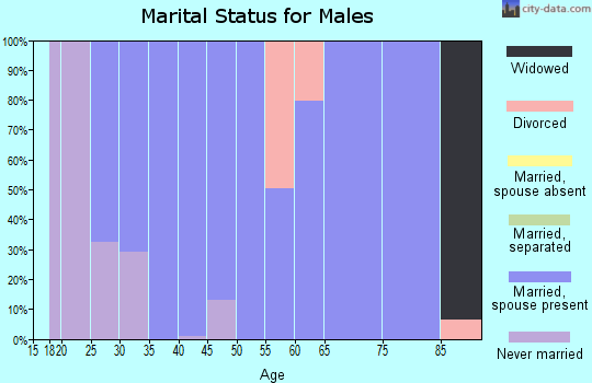 Zip code 25825 marital status for males
