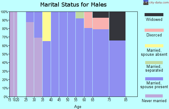Zip code 25827 marital status for males