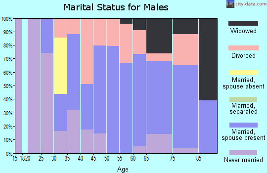 Zip code 25840 marital status for males